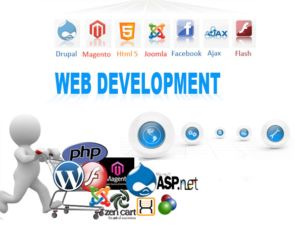 web-developer-in-rohini