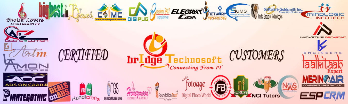 Bridge Technosoft Client